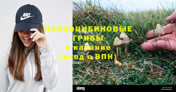 молекула духа Белоозёрский