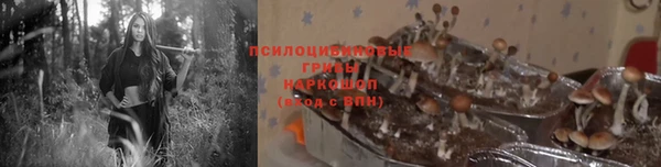 молекула духа Белоозёрский