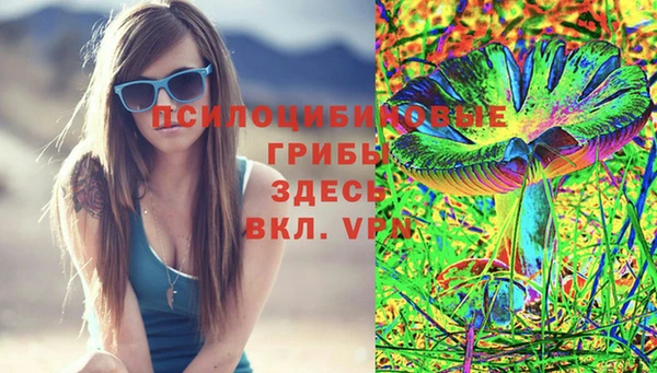 mdpv Белокуриха