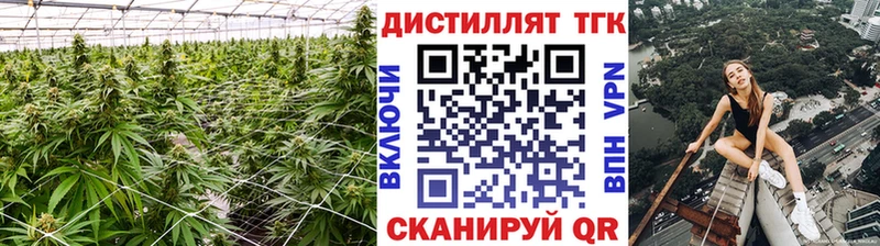 где купить наркотик  Бобров  Дистиллят ТГК вейп 
